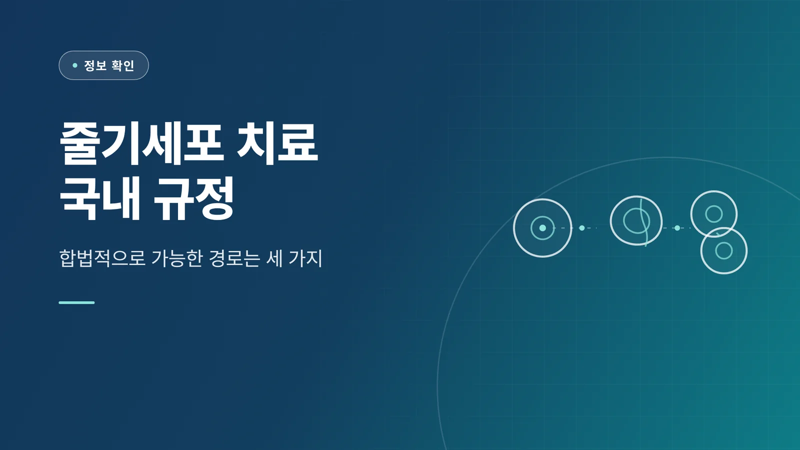 줄기세포 치료 국내 규정